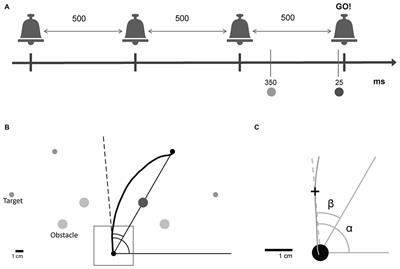 The Effects of Reducing Preparation Time on the Execution of Intentionally Curved Trajectories: Optimization and Geometrical Analysis